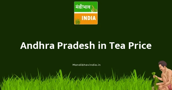 Tea भाव